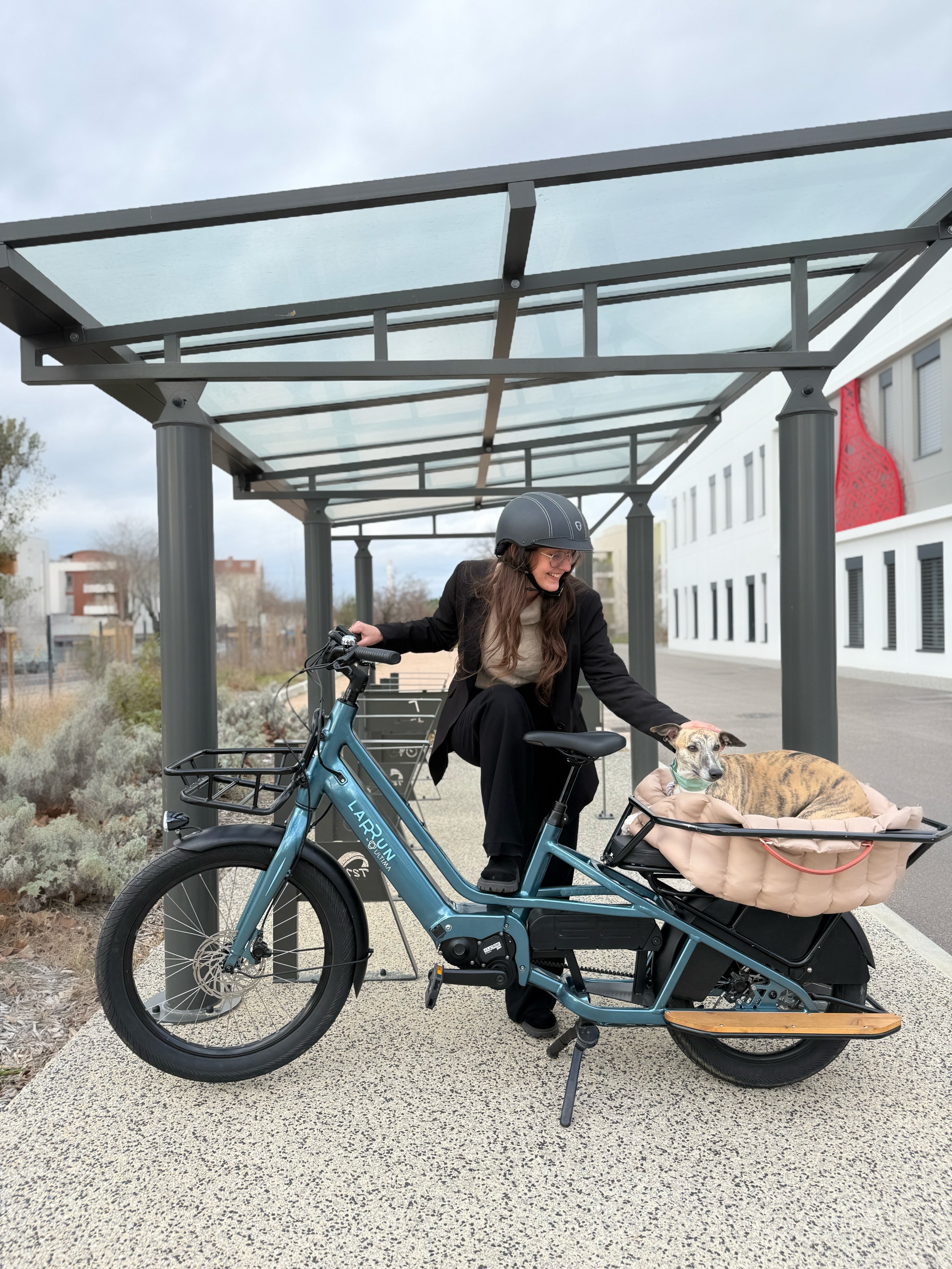 Comparatif vélo électrique : choisir le modèle le plus adapté à vos besoins
