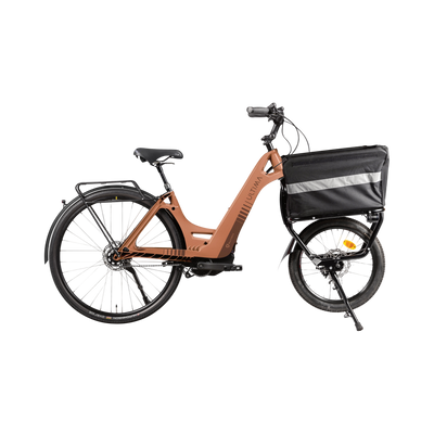 Multipath Cargo micro-business