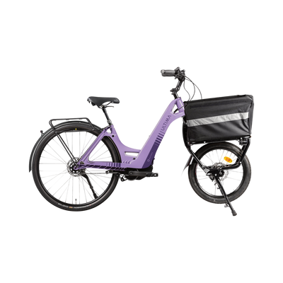Multipath Cargo micro-business
