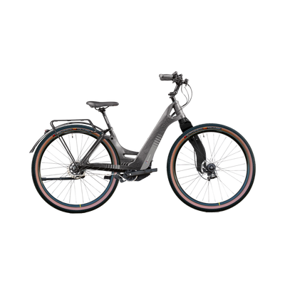 Multipath Trekking – Versatile Electric Bike with Automatic Gearbox