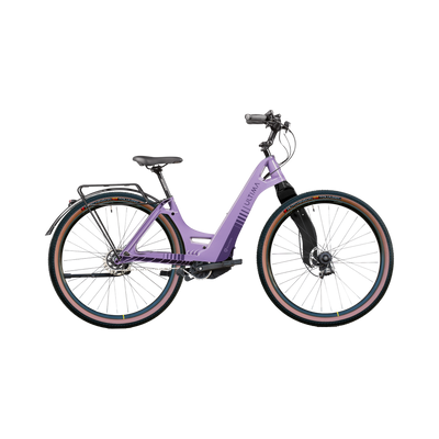 Multipath Trekking – Versatile Electric Bike with Automatic Gearbox